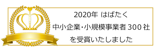 2020年 はばたく中小企業・小規模事業者300社を受賞いたしました